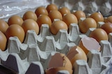 Generic chicken eggs in carton, some cracked
