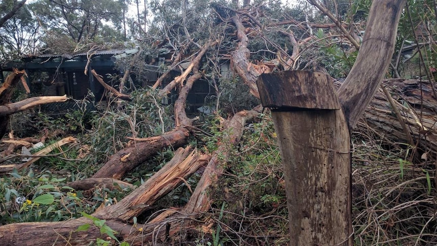 Severely damaged Adelaide Hills house after a tree fell in stormy weather