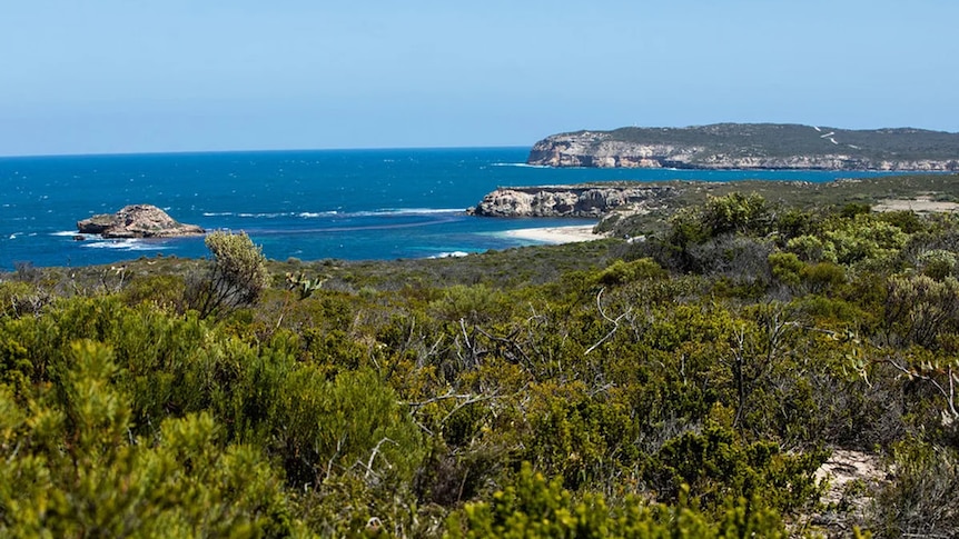 Dhilba Guuranda-Innes National Park Northern and Yorke landscape region