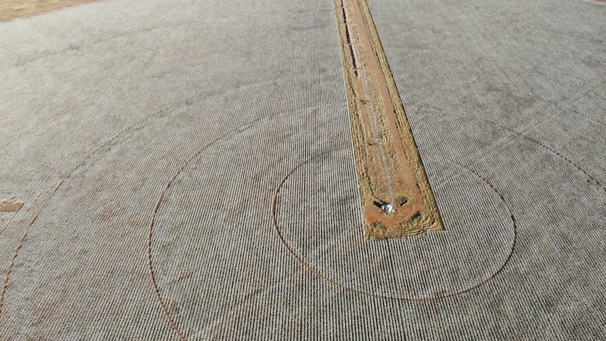 An aerial photograph of the cotton field