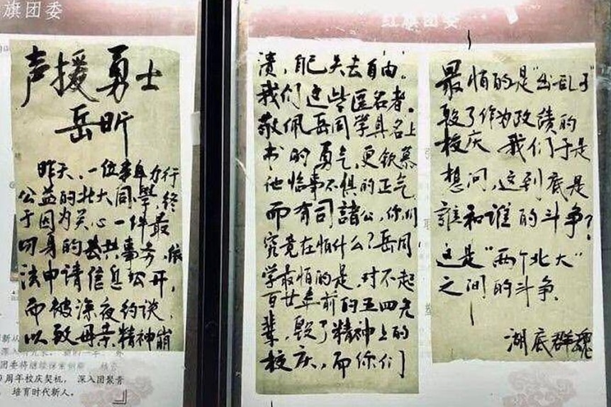 北京大学著名的三角地内赫然出现了一张题为《声援勇士岳昕》的化名大字报