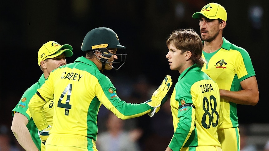 Four Australian male players congratulate each other after dismissing an Indian batter.