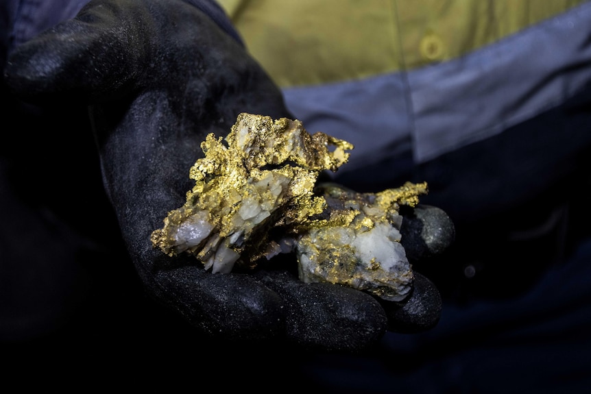 A mine worker holding a rare specimen of visible gold.  
