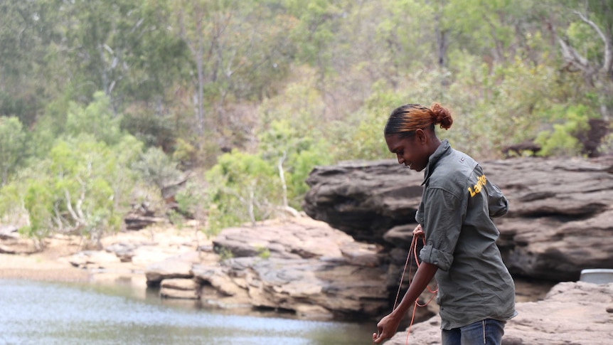 An indigenous woman in ranger uniform fishes for sawfish in a freshwater river in Cape York