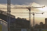 Cranes over Adelaide hospital site