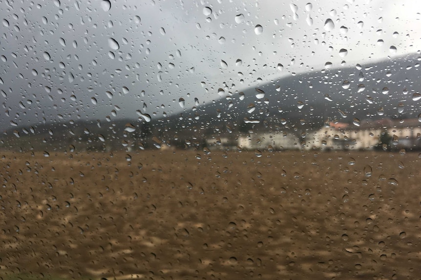 Rain drops on a window.