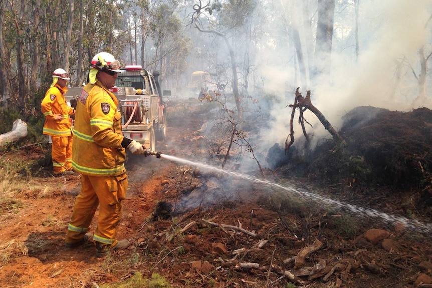 A firefighter sprays a hose as smoke rises from vegetation