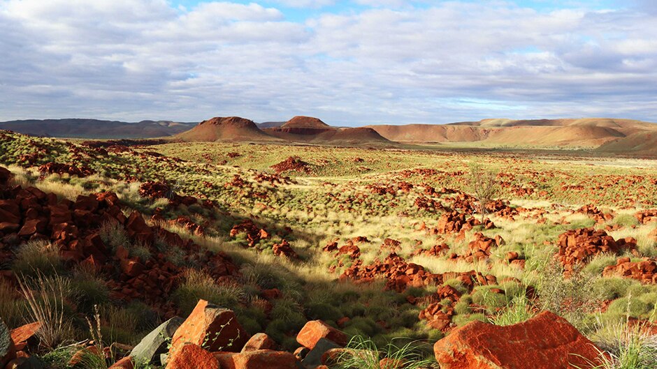 A landscape view of early morning light on rocks and spinifex in Millstream National park.