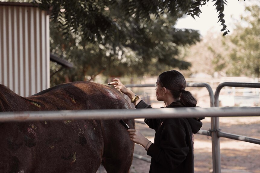A girl with her hair tied back paint the rear of a horse.