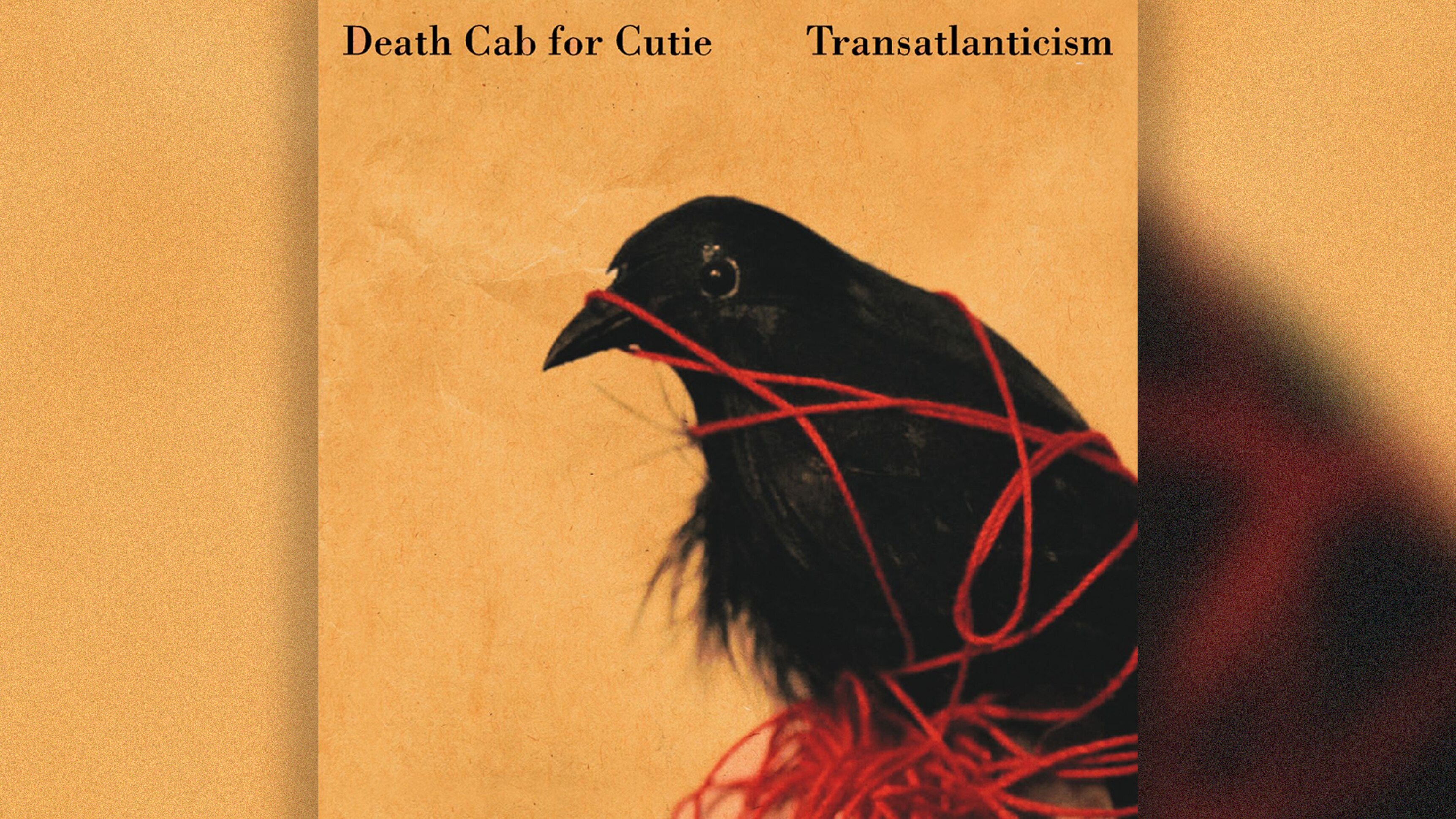 Sex, sadness, and Seth Cohen — 20 years of Death Cab For Cutie's