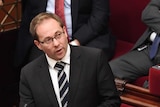 Daniel Mulino speaks in Victoria's Parliament.