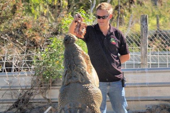 Adam throws a piece of meat into a Rocky the five-metre-crocodile's mouth.