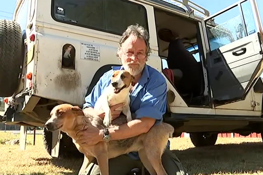 A man with his two dogs and a truck.