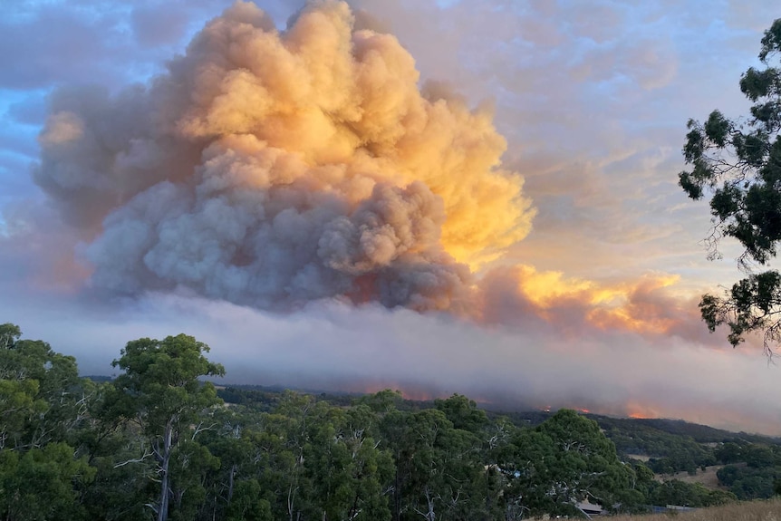 Smoke and an orange glow from a fire burning in the Cherry Gardens area of the Adelaide Hills.