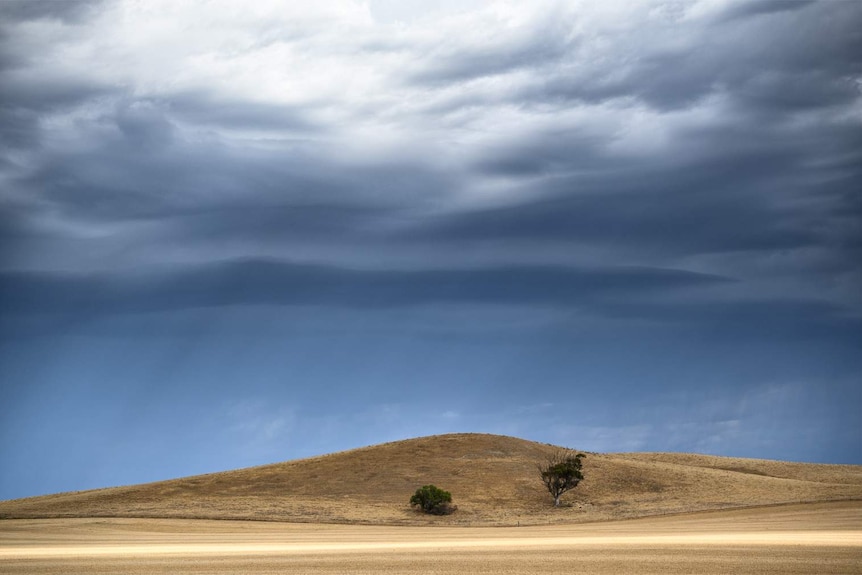 Clouds forming over a paddock.