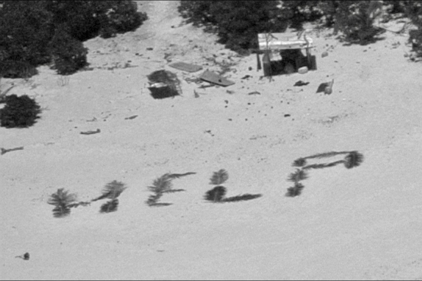 An aerial shot of a "HELP" sign written in leaves on a beach.