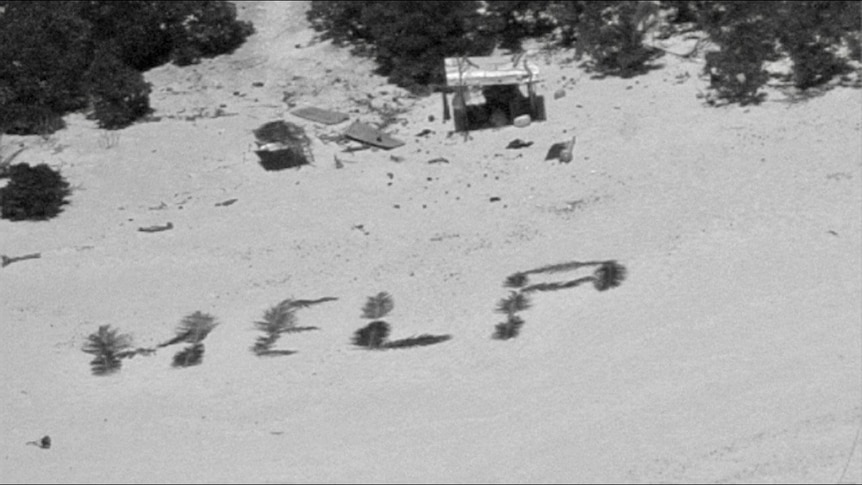 An aerial shot of a "HELP" sign written in leaves on a beach.