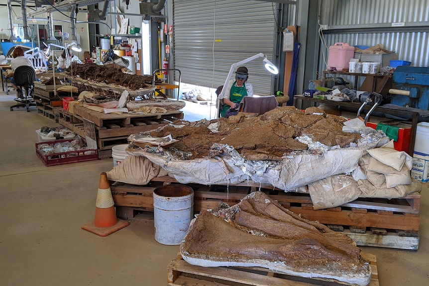 Age of Dinosaurs staff observe social distancing while preparing fossil specimens for the new museum