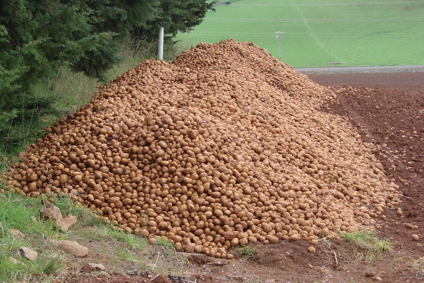 A pile of potatoes.