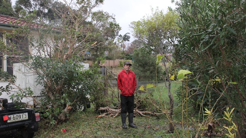 Bellambi resident Adam Cotterill stands in his yard with trees down around him.