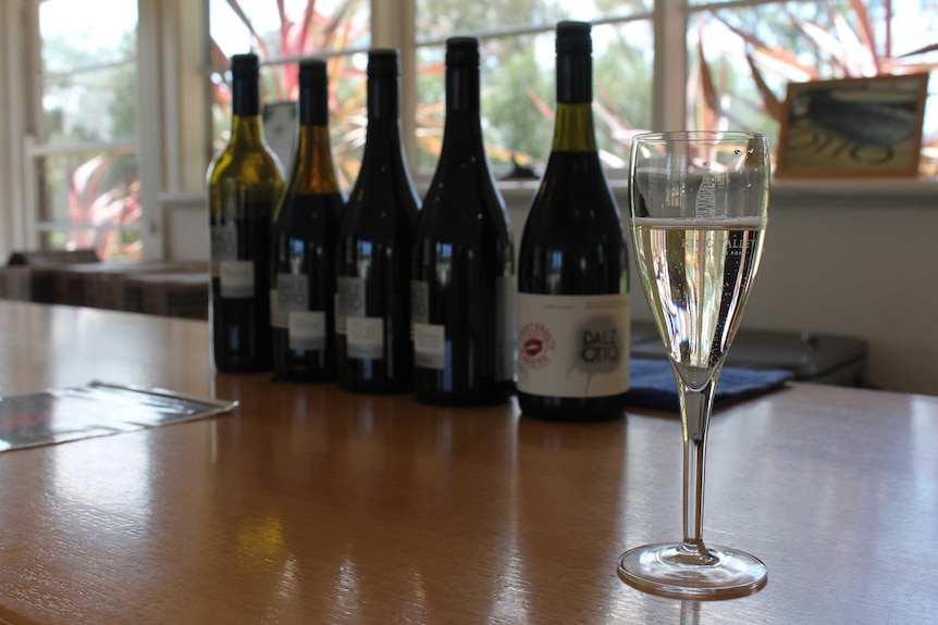 A glass of Prosecco sits on a bar in front of bottles of Prosecco