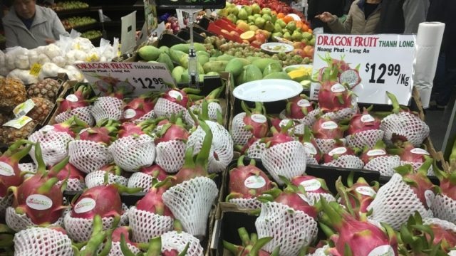 dragon fruit on display