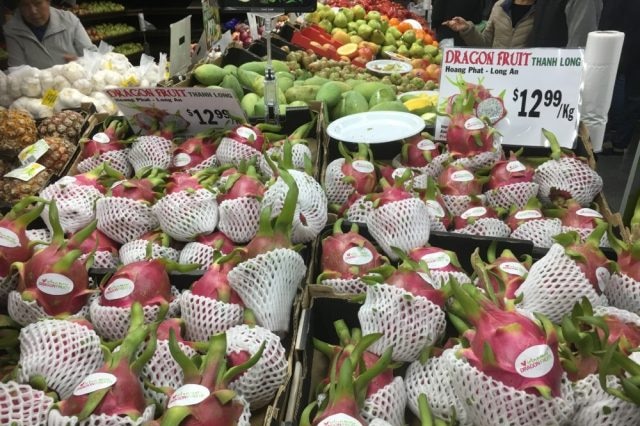 dragon fruit on display