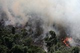 Bird's eye view of a tract of Amazon jungle burning, with smoke billowing above it.