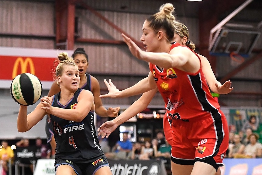A WNBL player bounces the basketball beneath the ring.