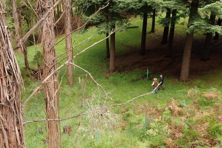 Photo of two men walking through a forest.