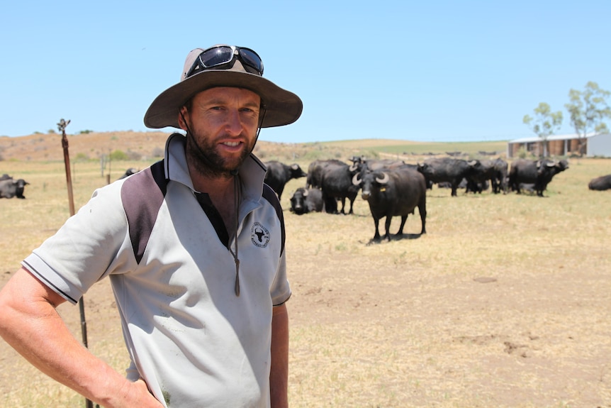 A man wearing a wide-brimmed hat standing in a field with buffalos behind him