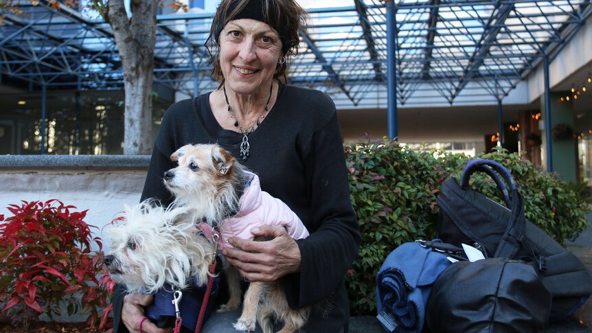 A lady holds two dogs.