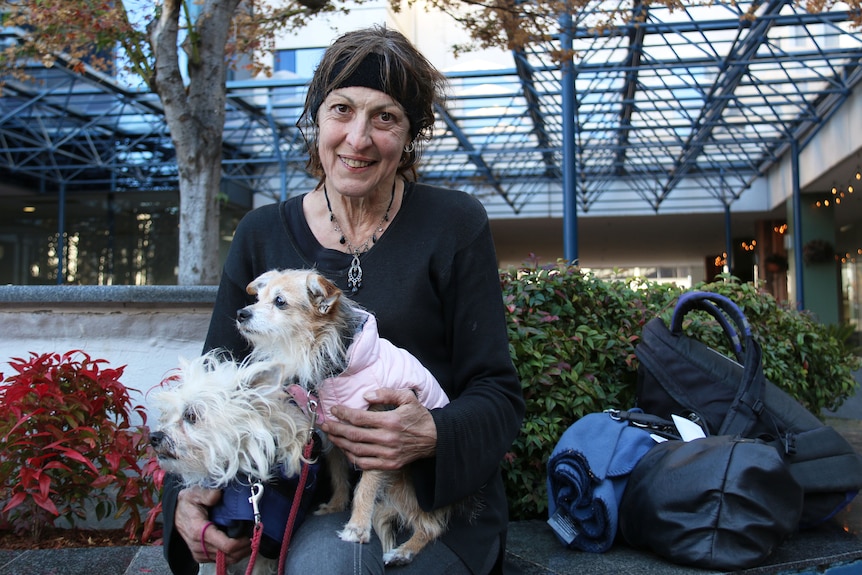 A lady holds two dogs.