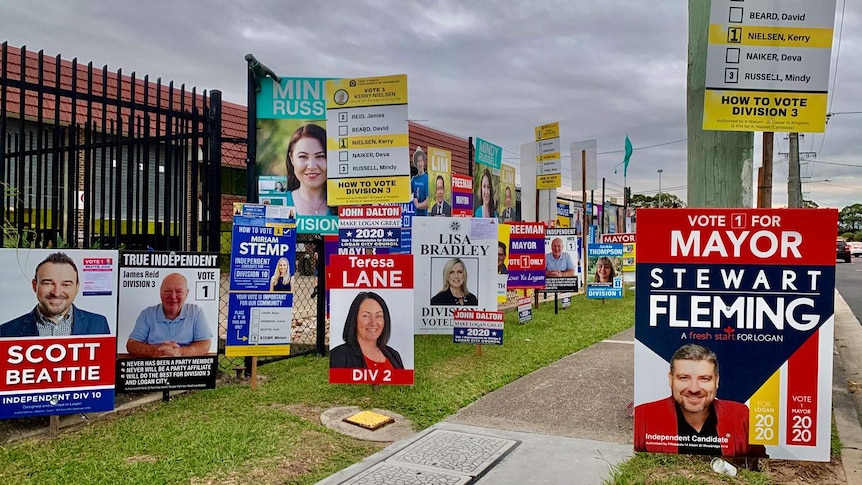 Local government election candidate corflutes displayed on a street in Logan.