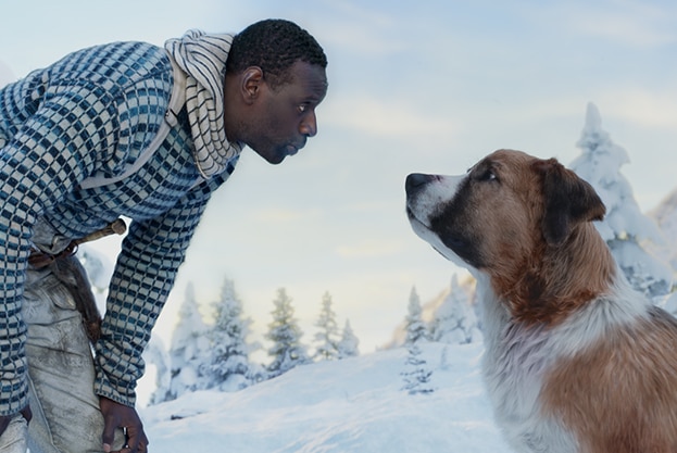 A man wearing patterned jumper bends down to look at a large St. Bernard/Scotch Collie dog in snow tipped tree landscape.