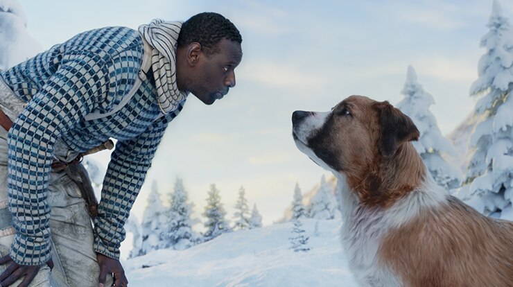 A man wearing patterned jumper bends down to look at a large St. Bernard/Scotch Collie dog in snow tipped tree landscape.