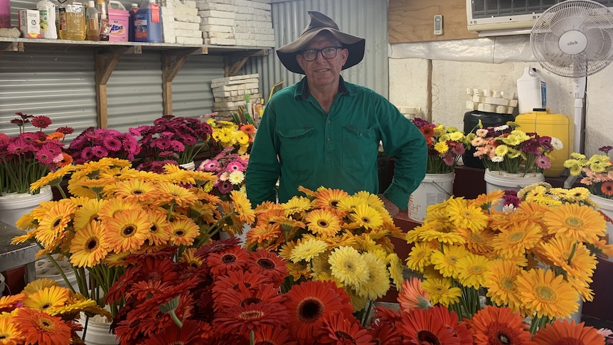 Farmer in worn old akubra in a shed surrounded by yellow orange red and pink flowers