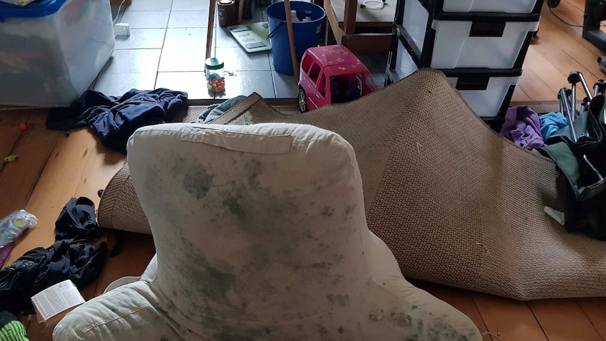 Mould growing on household items after the Townsville floods