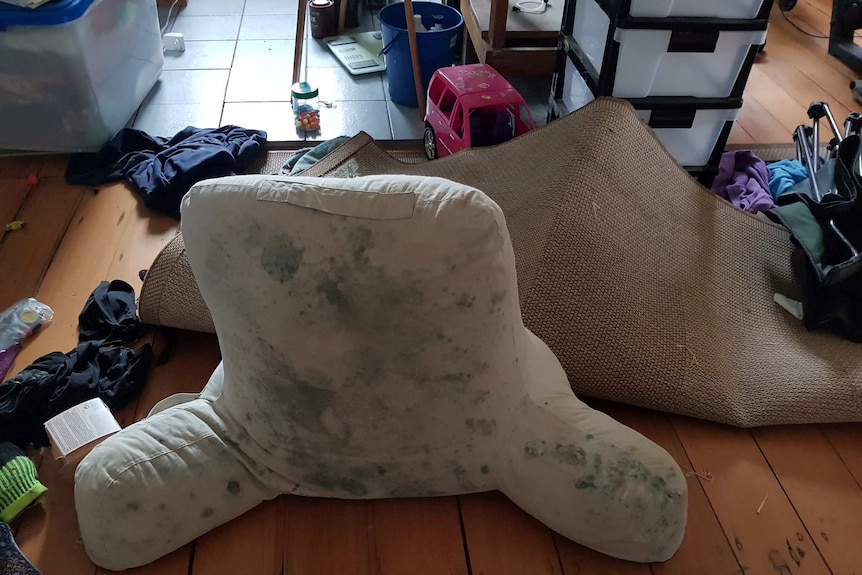 Mould growing on household items after the Townsville floods