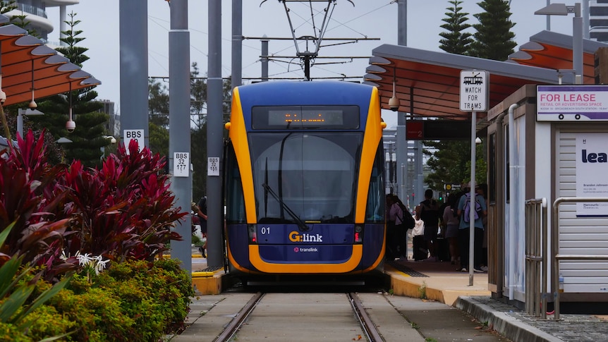 A tram on tracks in the Gold Coast.