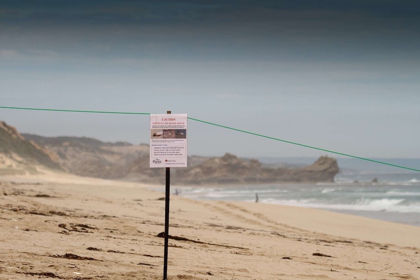 A sign on a sandy beach warns visitors that hooded plovers are nesting nearby.