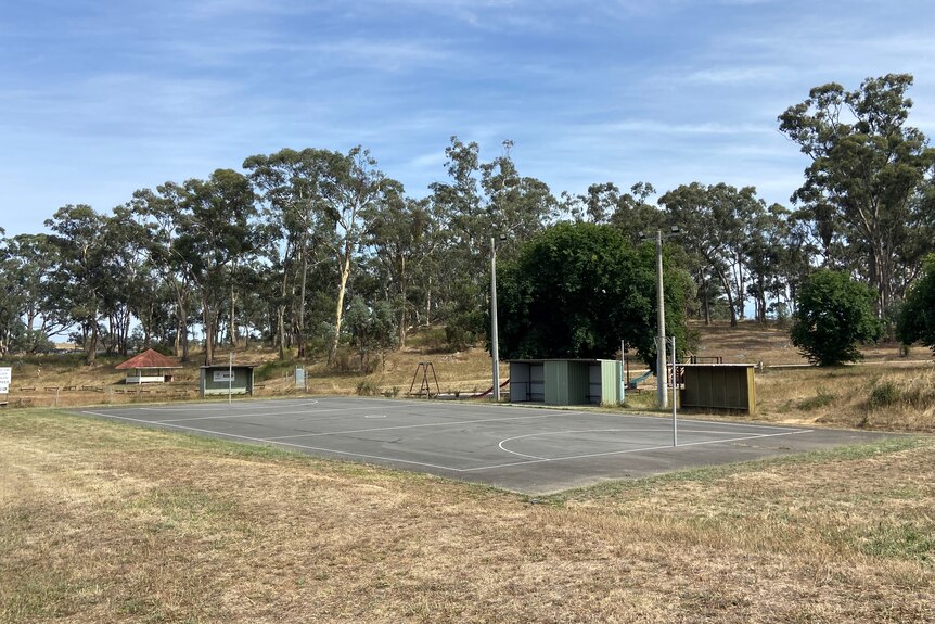 a photo of an asphalt netball court surrounded by dying, yellow grass 