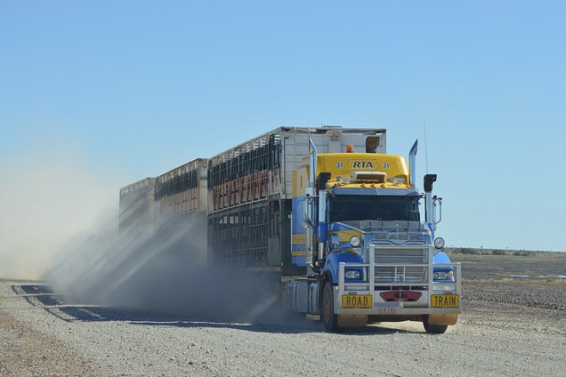 A cattle truck driving on a dirt road near Bedourie.