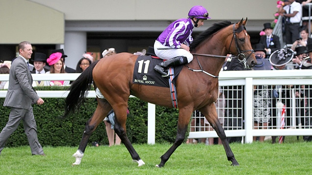 A jockey wearing purple sits astride a racehorse. A man in a suit walks nearby, onlookers watch from a set of bleachers.