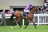 A jockey wearing purple sits astride a racehorse. A man in a suit walks nearby, onlookers watch from a set of bleachers.