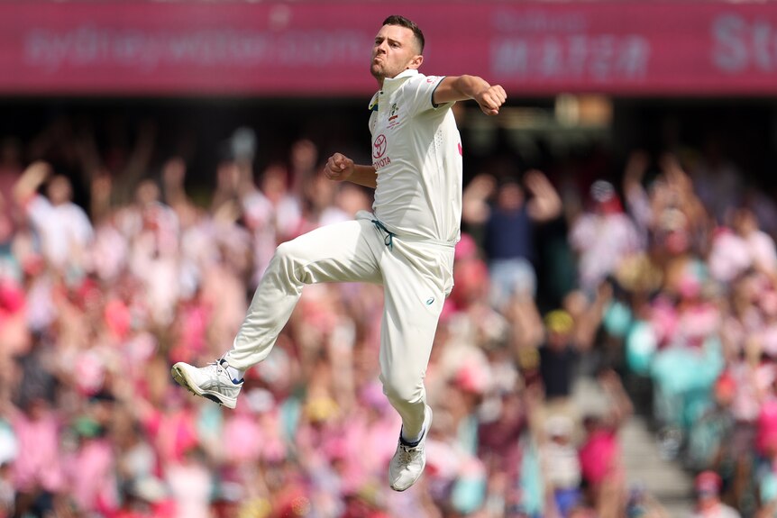 Josh Hazlewood leaps to punch the air after taking a wicket