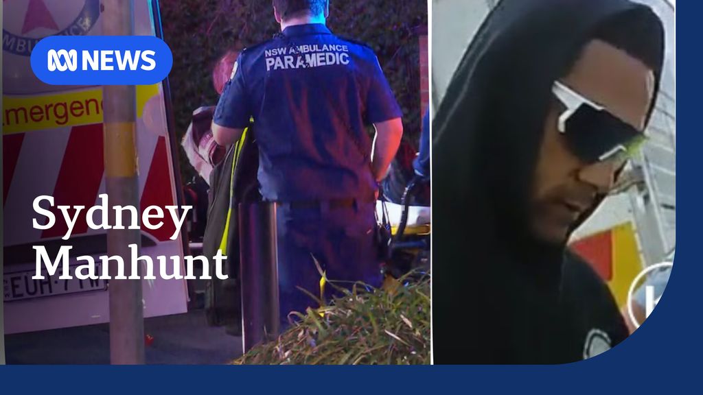 NSW Police hunting attacker after immigration contractors stabbed - ABC ...
