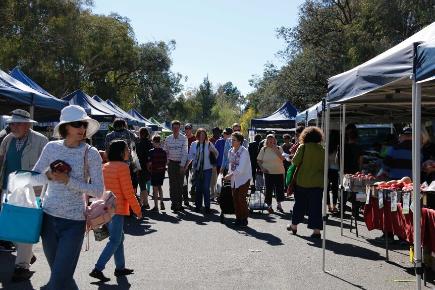 Shoppers browse the stalls at the Southside Farmers Market in Phillip.