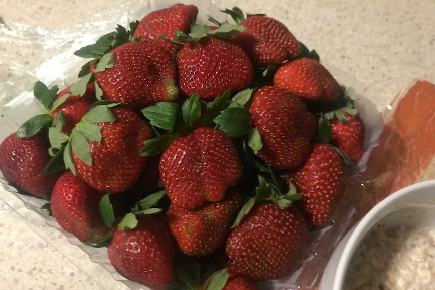1 kg punnet of strawberries in a punnet