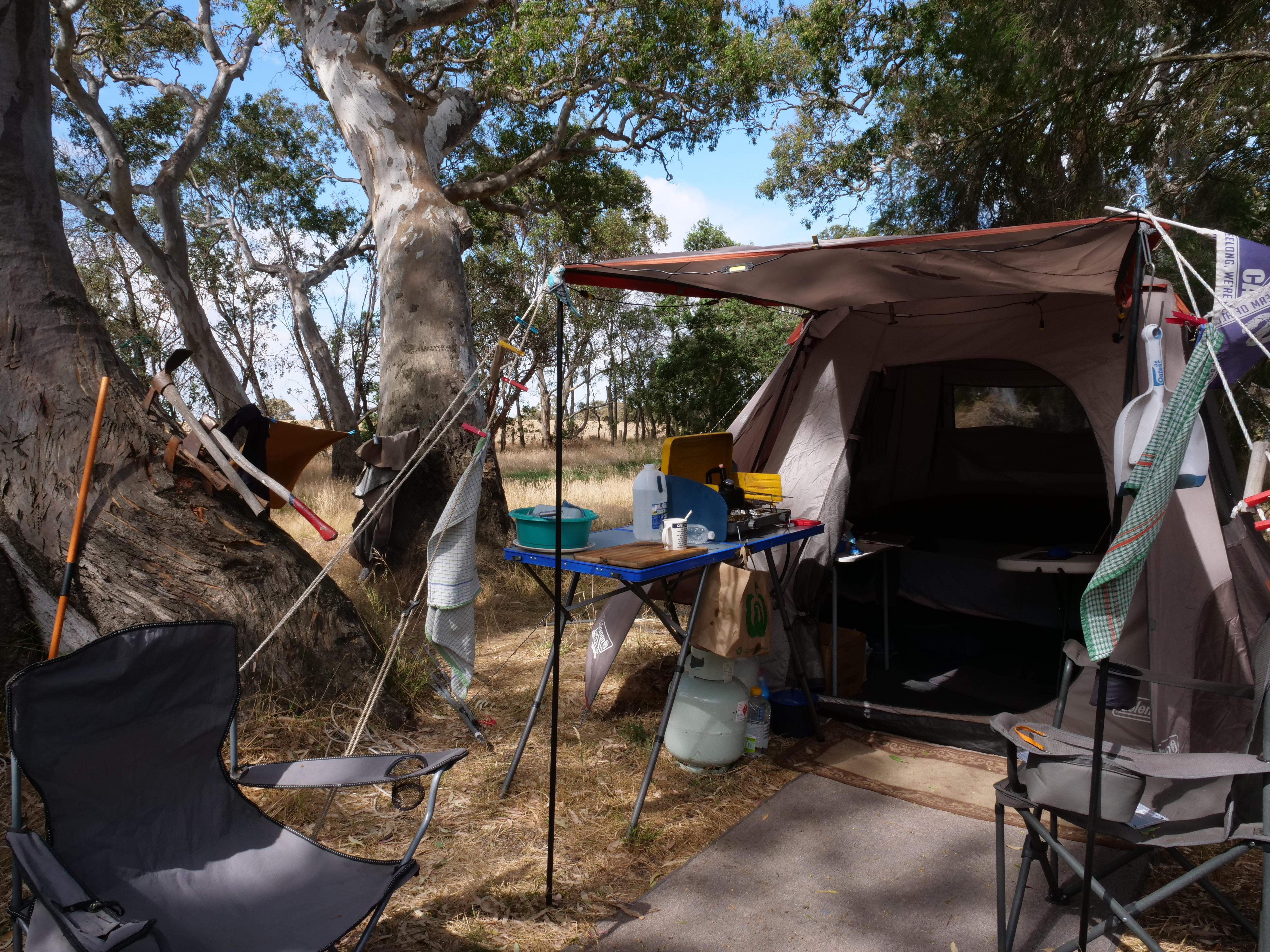 Tienda de campaña frente a los árboles. 